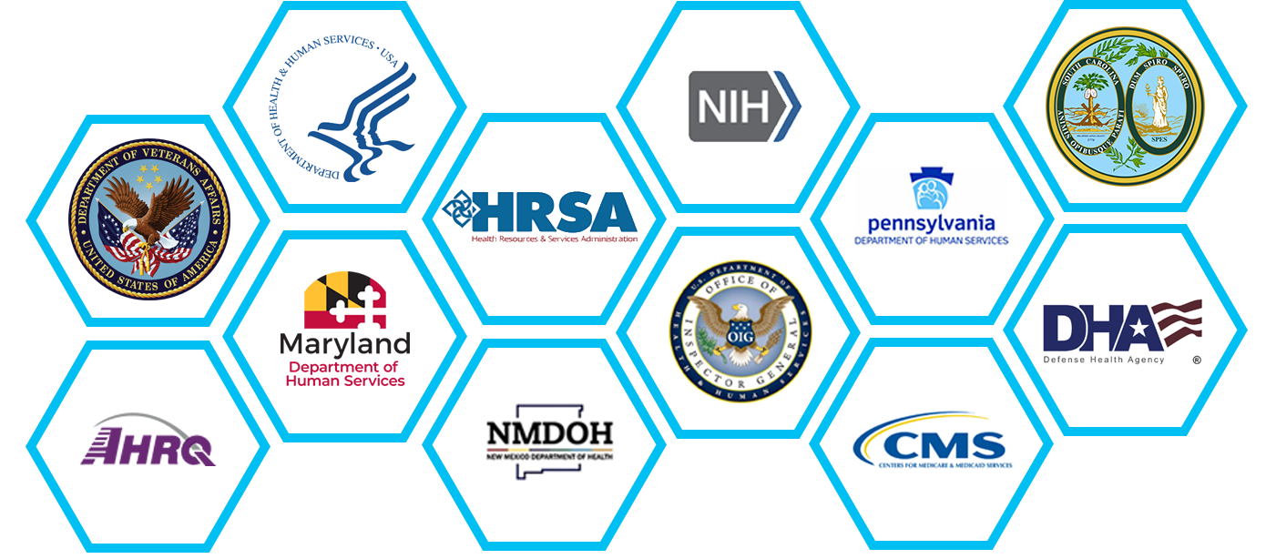 Government Health IT client list